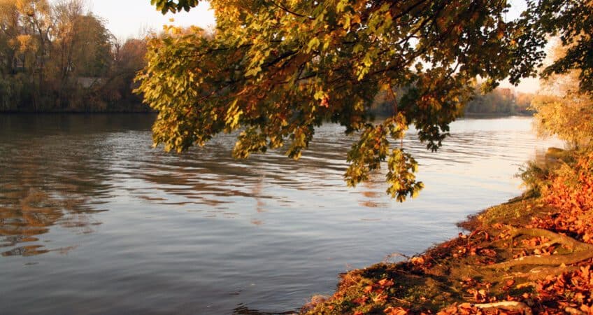 location péniche à rueil malmaison