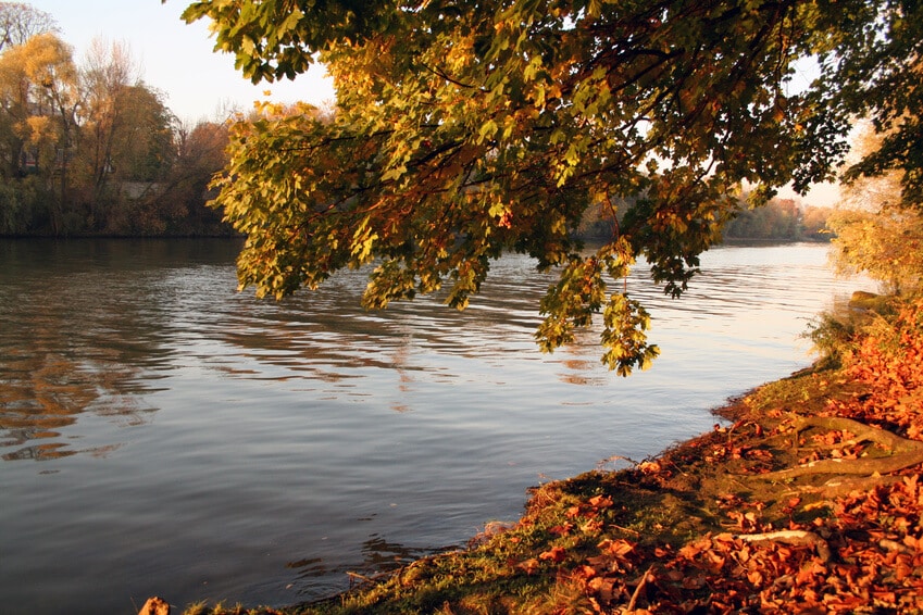 location péniche à rueil malmaison